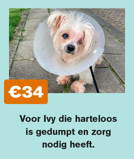 donatievoorbeelden